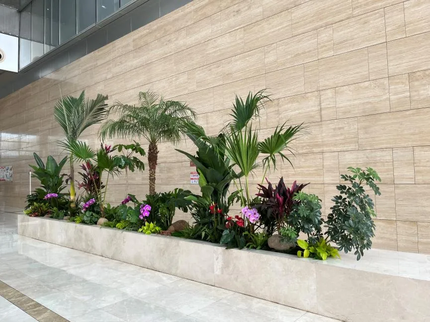 探秘宁波奉化花卉出租方案，开启别样花卉之旅